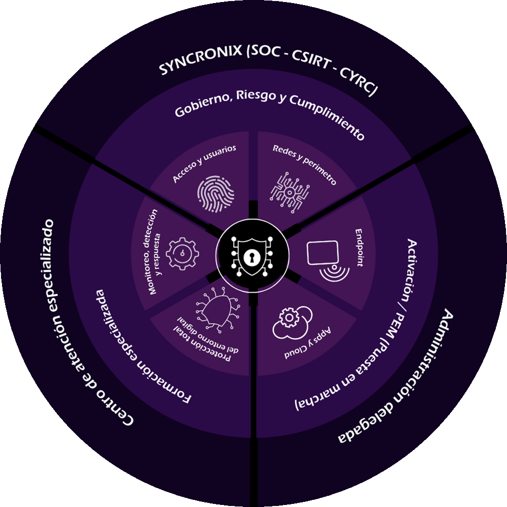 Soluciones de Ciberseguridad — Cyberis